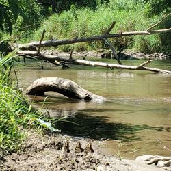 Primitive Outback Kayaking and Gem Mining