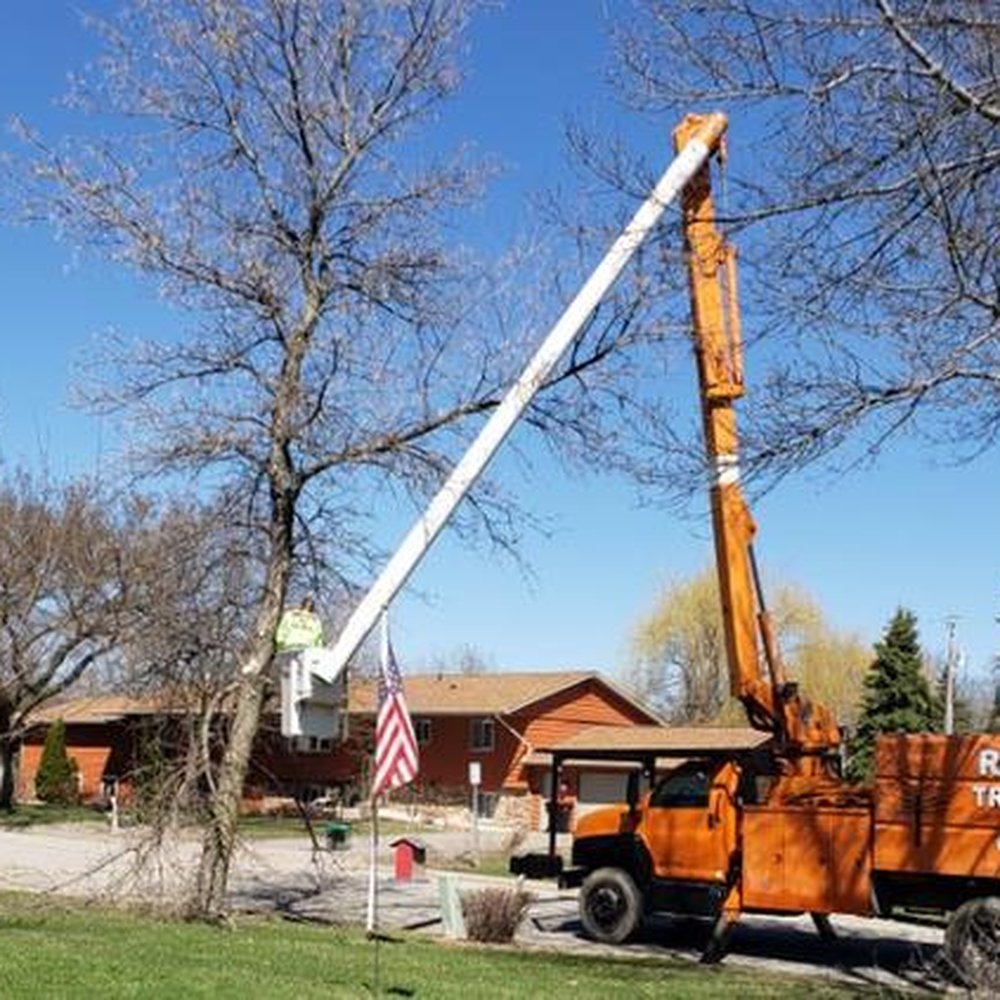 THE BEST 10 Tree Services in GOODHUE COUNTY, MN - Last Updated December  2023 - Yelp
