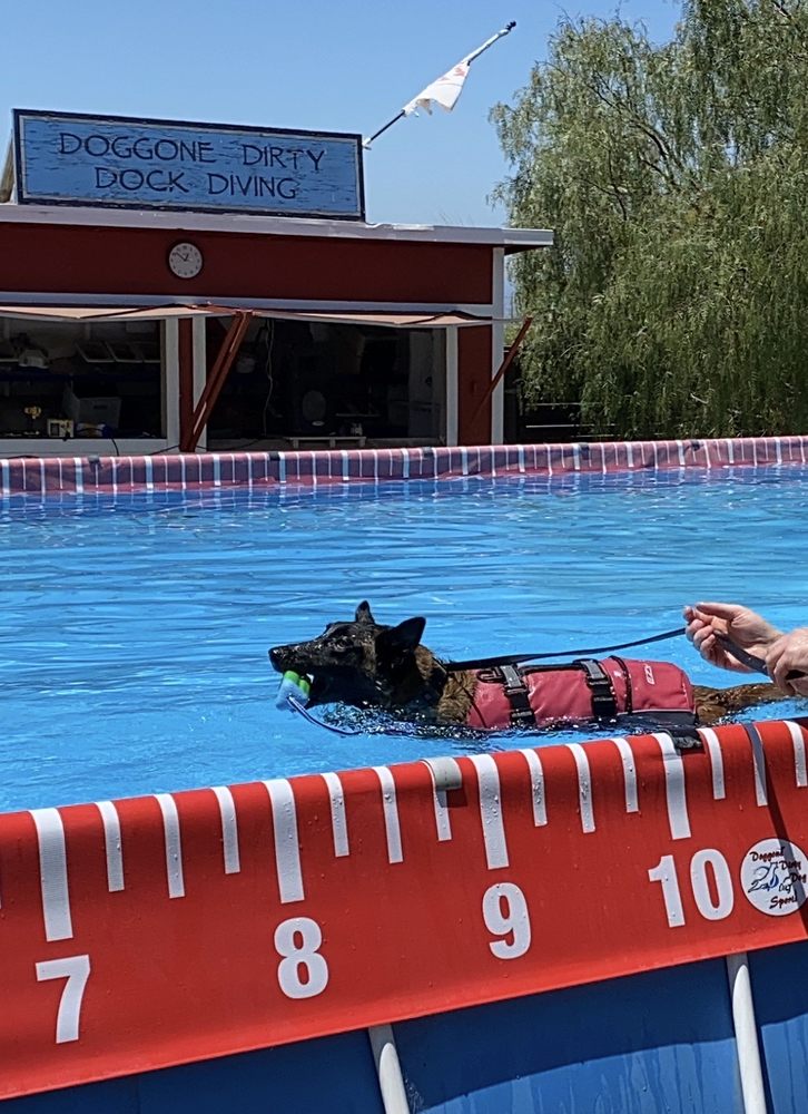 DOGGONE DIRTY DOCK DIVING Updated October 2024 27 Photos & 17