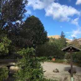 Views in the garden