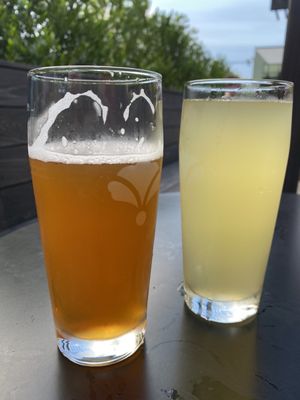 Bearded Iris - Sylvan Supply by null