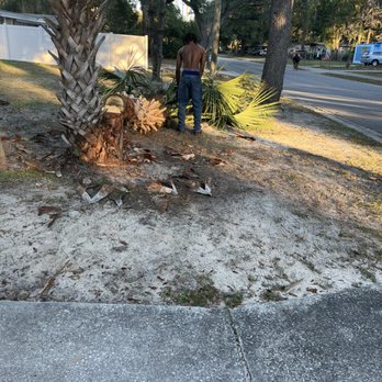 Newtons Tree Removal - Tree Services Near Me - Gainesville, Florida Newtons Tree Removal - Tree Services Near Me - Gainesville, Florida