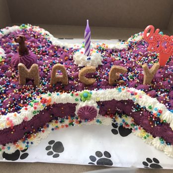 PJ's Pet Cafe - Pet Stores Near Me - Long Beach, California PJ's Pet Cafe - Pet Stores Near Me - Long Beach, California