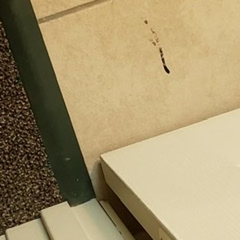 Cody Legacy Inn And Suites - Bathroom not cleaned...towels dirty, bathtub filthy and toilet had pee in it! - Hotels Near Me - Cody, Wyoming Cody Legacy Inn And Suites - Bathroom not cleaned...towels dirty, bathtub filthy and toilet had pee in it! - Hotels Near Me - Cody, Wyoming