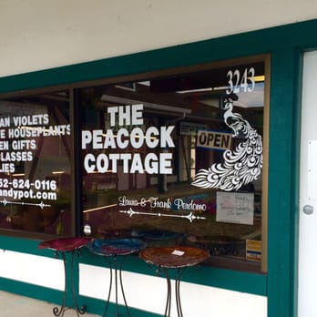 The Peacock Cottage - Storefront-2016 - Nurseries & Gardening Near Me - Ocala, Florida The Peacock Cottage - Storefront-2016 - Nurseries & Gardening Near Me - Ocala, Florida