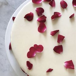 MUSE Cheesecakes