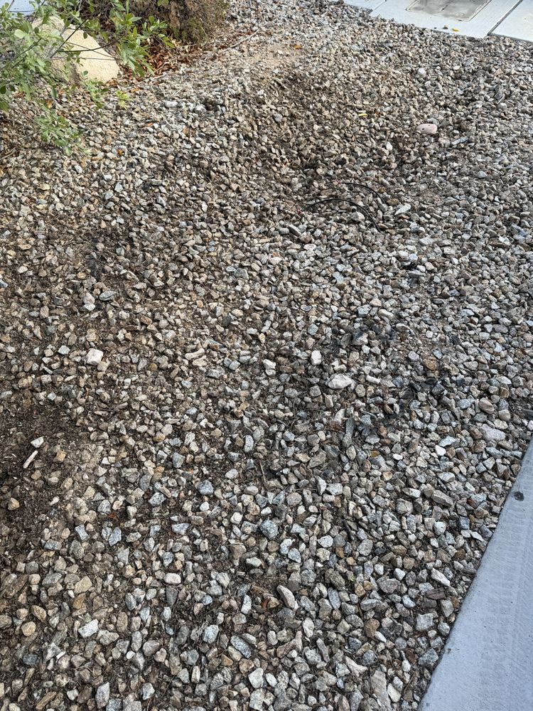 Jesus Barreto Landscaping - tree service in Las Vegas, NV