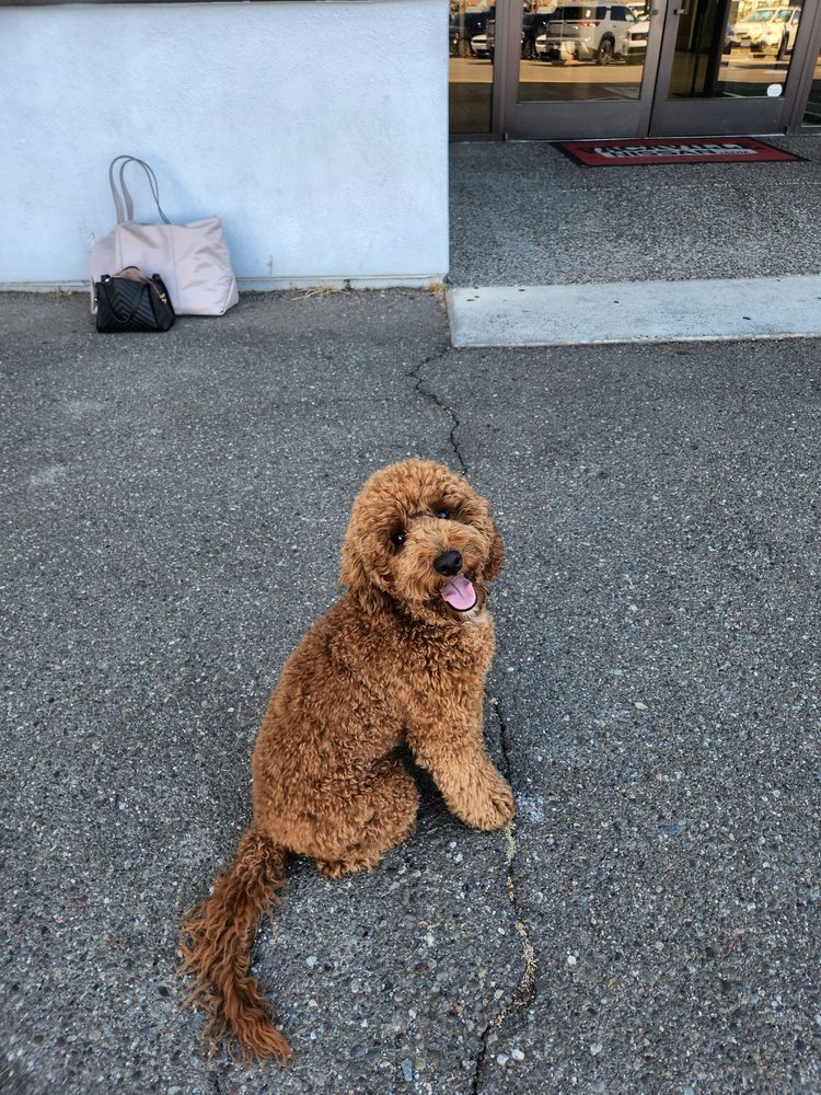 NISSAN OF VACAVILLE Updated August 2024 115 Photos & 326 Reviews