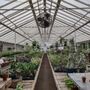 Photo of Graye's Greenhouse