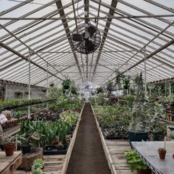 Graye's Greenhouse