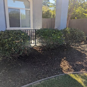 Harry's Landscaping and Maintenance - Trimmed bushes and clear area around them - Landscaping Near Me - Sacramento, California Harry's Landscaping and Maintenance - Trimmed bushes and clear area around them - Landscaping Near Me - Sacramento, California