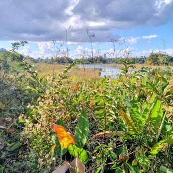 Volunteer Park - Parks Near Me - Plantation, Florida Volunteer Park - Parks Near Me - Plantation, Florida