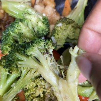 Mandarin Express - Worms some are green some are tan they're small but definitely there - Asian Fusion Near Me - Waco, Texas