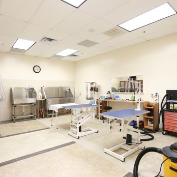 fantasy spa mobile pet grooming