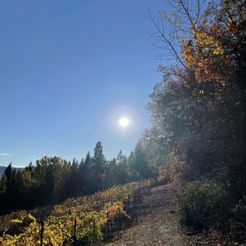 Hiyu Wine Farm - Vineyard - Wine Tasting Room Near Me - Hood River, Oregon Hiyu Wine Farm - Vineyard - Wine Tasting Room Near Me - Hood River, Oregon