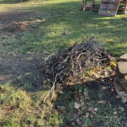 Sticks removed from debris pile