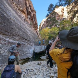 Rock climbing area. Tiny pond/trickle of water area.