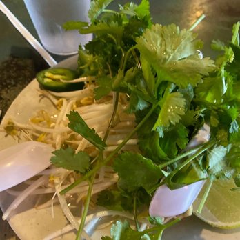 Pho Saigon - No basil, as you can see. - Vietnamese Near Me - Charleston, South Carolina Pho Saigon - No basil, as you can see. - Vietnamese Near Me - Charleston, South Carolina