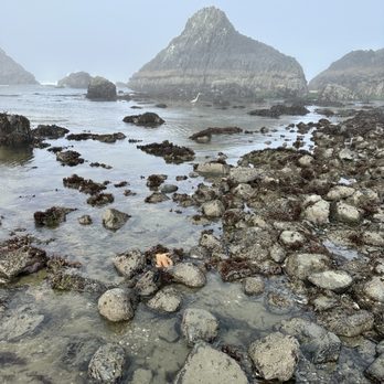 Seal Rock State Wayside - Parks Near Me - Seal Rock, Oregon Seal Rock State Wayside - Parks Near Me - Seal Rock, Oregon