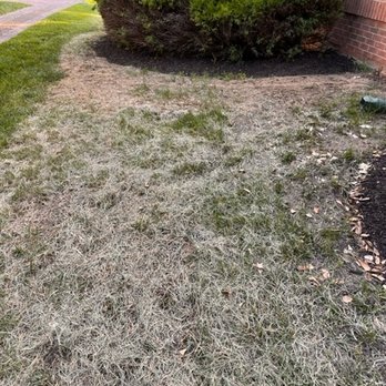 Mrw Lawns - Pest Control Near Me - LaPlata, Maryland Mrw Lawns - Pest Control Near Me - LaPlata, Maryland
