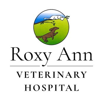 Roxy Ann Veterinary Hospital - Veterinarians Near Me - Central Point, Oregon Roxy Ann Veterinary Hospital - Veterinarians Near Me - Central Point, Oregon