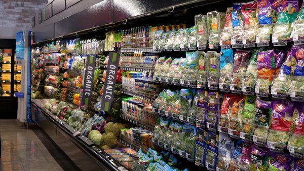 Lucky Bayview by null