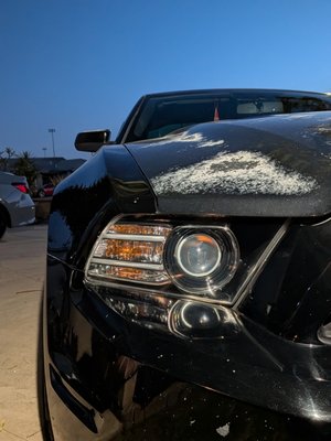 Ford Mustang - This Ford Mustang was an awesome car to get an opportunity to restore. It was an old buddy of mine from Elementary school! He had just bought this Mustang from a friend of his. He had always wanted a Mustang and now he can finally enjoy it with restored headlights! I did the foglights on this beautiful vehicle to top it off and protected it a ceramic coating. This customer felt like he was driving off the lot with better clarity and confidence! Thank you for choosing GoodGuy Restorations! Ford Mustang - This Ford Mustang was an awesome car to get an opportunity to restore. It was an old buddy of mine from Elementary school! He had just bought this Mustang from a friend of his. He had always wanted a Mustang and now he can finally enjoy it with restored headlights! I did the foglights on this beautiful vehicle to top it off and protected it a ceramic coating. This customer felt like he was driving off the lot with better clarity and confidence! Thank you for choosing GoodGuy Restorations!