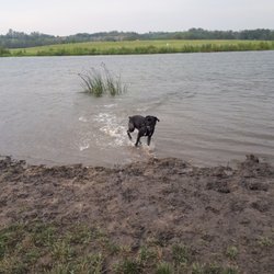 Dog Park