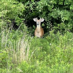 Rocky Fork Metro Park - Time for a wake up