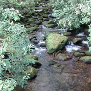 Elkmont Campground - Creek - Hiking Near Me - Gatlinburg, Tennessee Elkmont Campground - Creek - Hiking Near Me - Gatlinburg, Tennessee