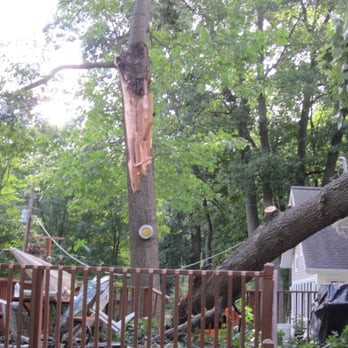 Beaver Tree Service - Tree Services Near Me - Newaygo, Michigan Beaver Tree Service - Tree Services Near Me - Newaygo, Michigan