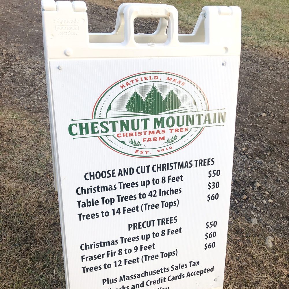 Chestnut Mountain Christmas Tree Farm - Pricing information - Christmas Trees Near Me - Hatfield, Massachusetts