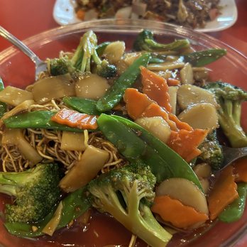 Hunan Restaurant - Vegetable Pan Fried Noodles - Chinese Near Me - Bloomington, Minnesota