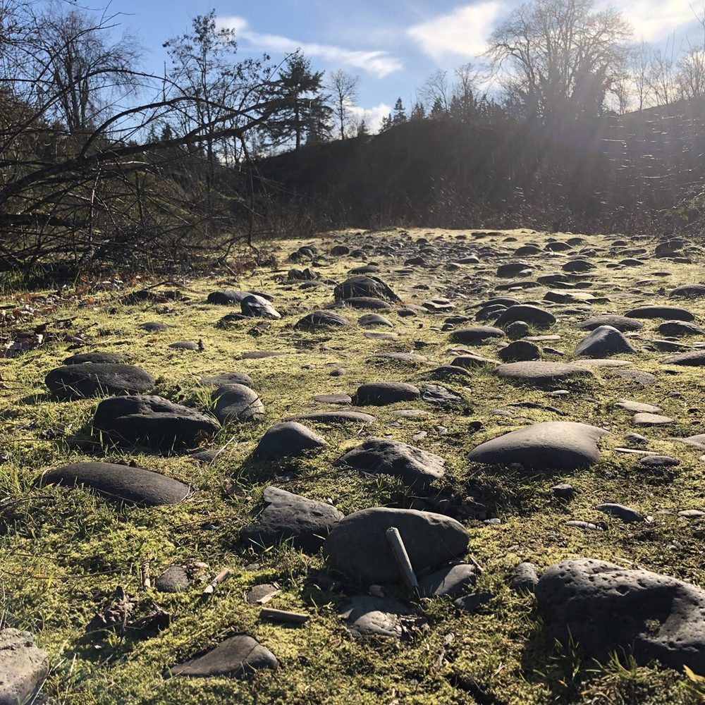 Salmon Creek Greenway Trail - Parks Near Me - Vancouver, Washington