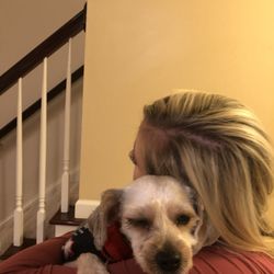 Renee's Pet Grooming - Can barely open his one eye.