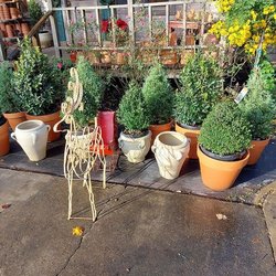 Natural Garden And Nursery