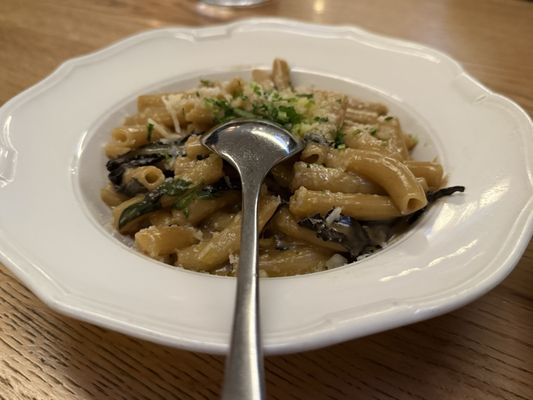 The Tailor's Son by null