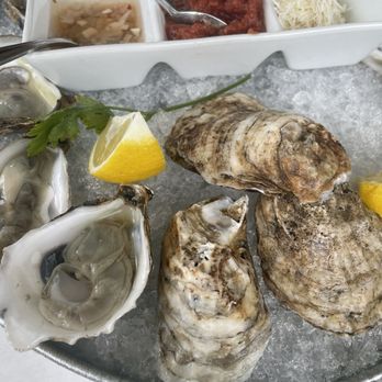 Plori Restaurant - Greek Near Me - Carle Place, New York