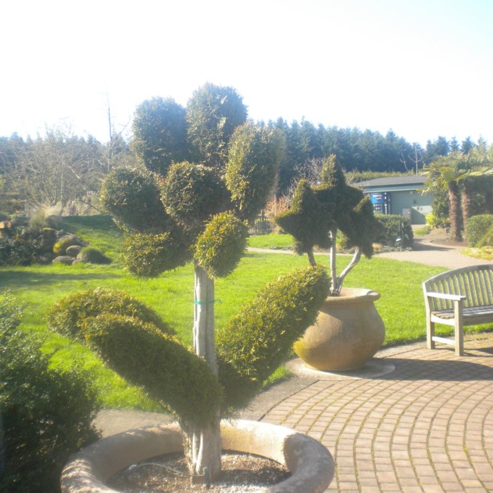 Oregon Garden Resort - Hotels Near Me - Silverton, Oregon Oregon Garden Resort - Hotels Near Me - Silverton, Oregon