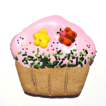 Daisy's Delights - Garden Cupcake single treat $3.00 - Pet Stores Near Me - Culver City, California Daisy's Delights - Garden Cupcake single treat $3.00 - Pet Stores Near Me - Culver City, California