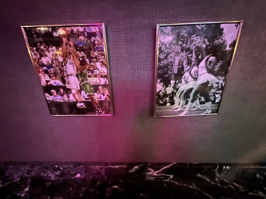 Sly Rooftop Bar by null