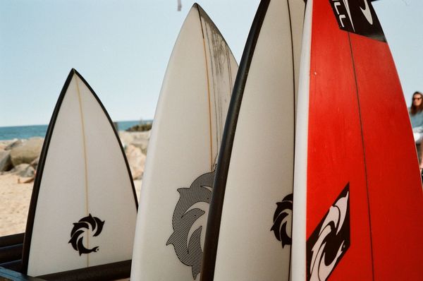 WAVE RIDING VEHICLES - Updated March 2026 - 118 Photos & 49 Reviews ...