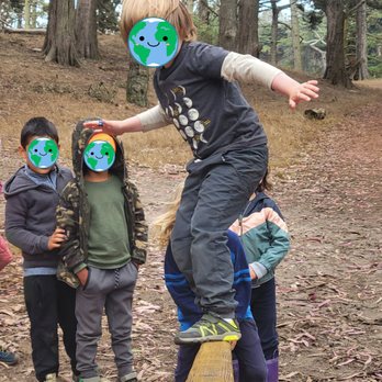 Little Forest Explorers - Preschools Near Me - San Francisco, California Little Forest Explorers - Preschools Near Me - San Francisco, California