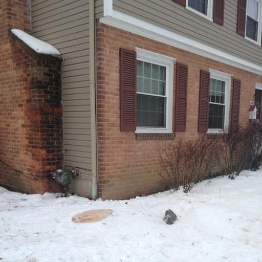 Don Packard Tree Service - tree service in Ypsilanti, MI