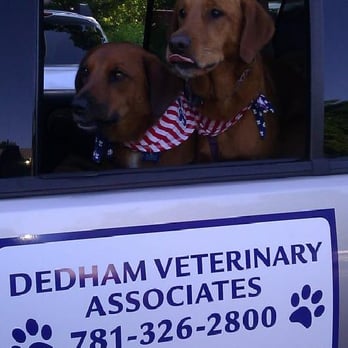 Dedham Veterinary Associates - Veterinarians Near Me - Dedham, Massachusetts Dedham Veterinary Associates - Veterinarians Near Me - Dedham, Massachusetts