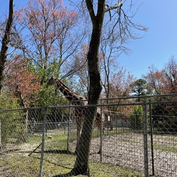 Tregembo Animal Park - Zoos Near Me - Wilmington, North Carolina Tregembo Animal Park - Zoos Near Me - Wilmington, North Carolina