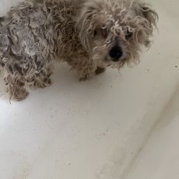 When I found her last February When I found her last February