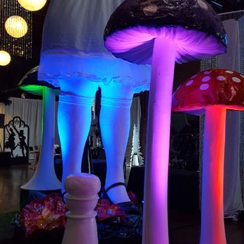 Extravaganza Events & Props - Alice & Wonderland theme - Party & Event Planning Near Me - Matthews, North Carolina Extravaganza Events & Props - Alice & Wonderland theme - Party & Event Planning Near Me - Matthews, North Carolina