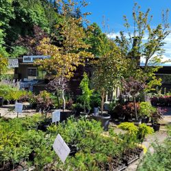 Wells Nursery