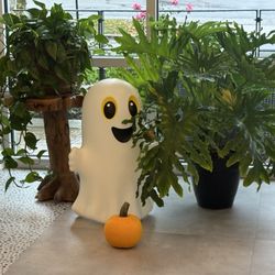 Squeeze Juicery